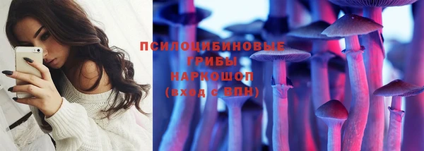 первитин Заводоуковск