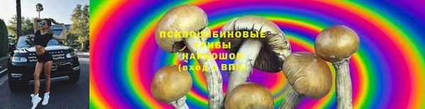 a pvp Заволжск