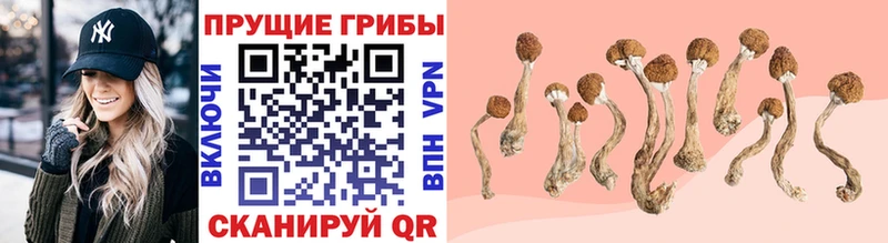 Галлюциногенные грибы GOLDEN TEACHER  Купить  Иланский 